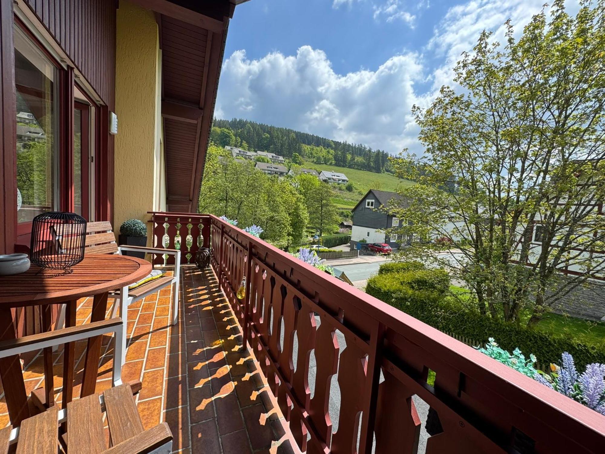 Ferienwohnung Sonnentraum - Appartement 5 Willingen วิลลิงเงิน ภายนอก รูปภาพ