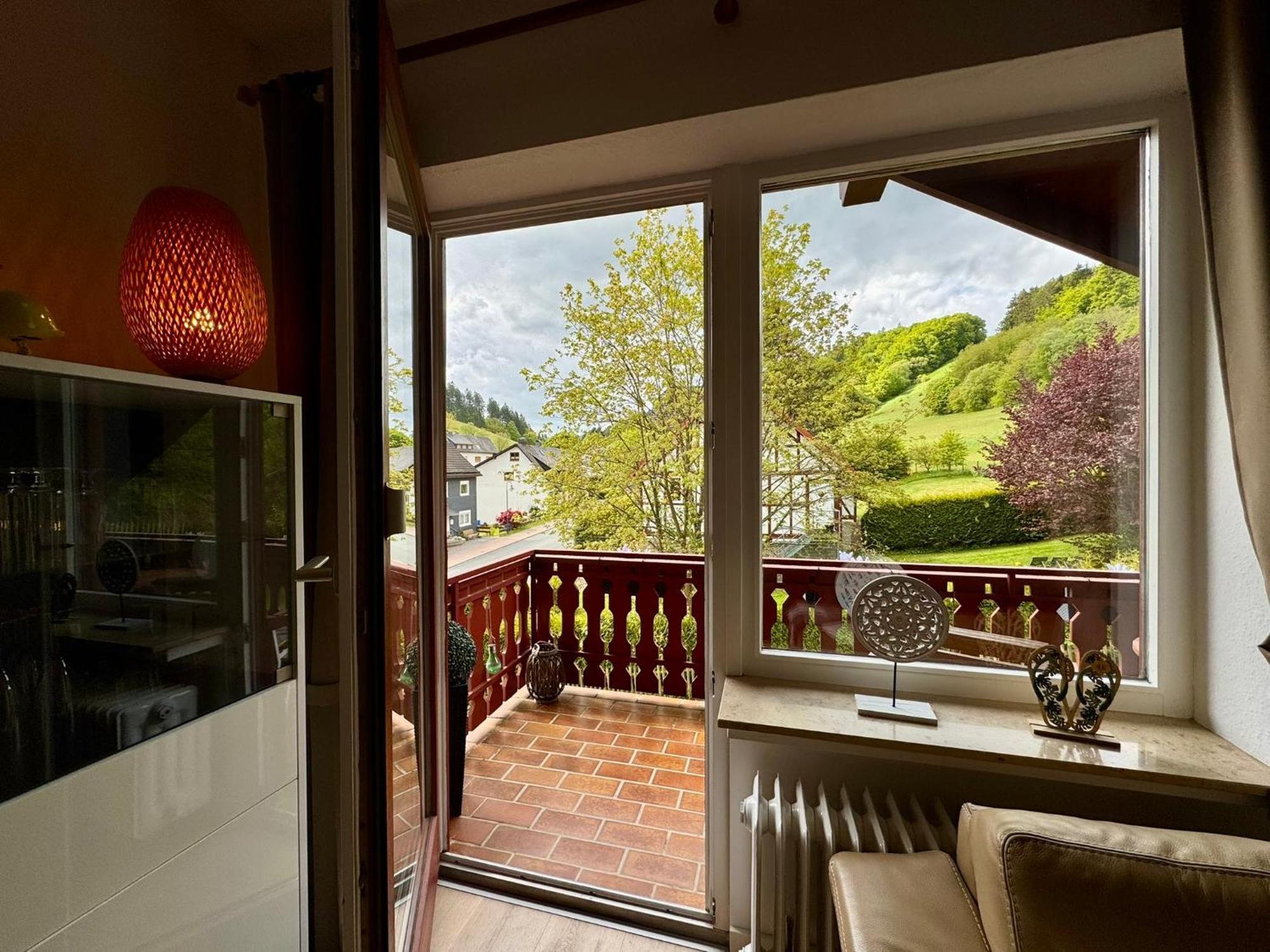 Ferienwohnung Sonnentraum - Appartement 5 Willingen วิลลิงเงิน ภายนอก รูปภาพ